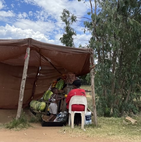 A roadside watermelon stand in South Africa. A woman in a red dress sits in a white plastic chair with her back to the camera. Blue sky with white clouds are above the stand. On the right side are tall bushes with green leaves.