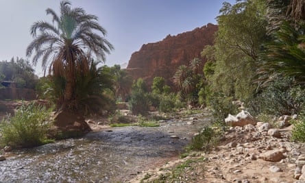 The fertile valley of the Todra