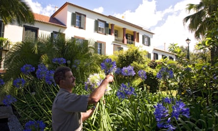 Gardener cutting agapanthus flower