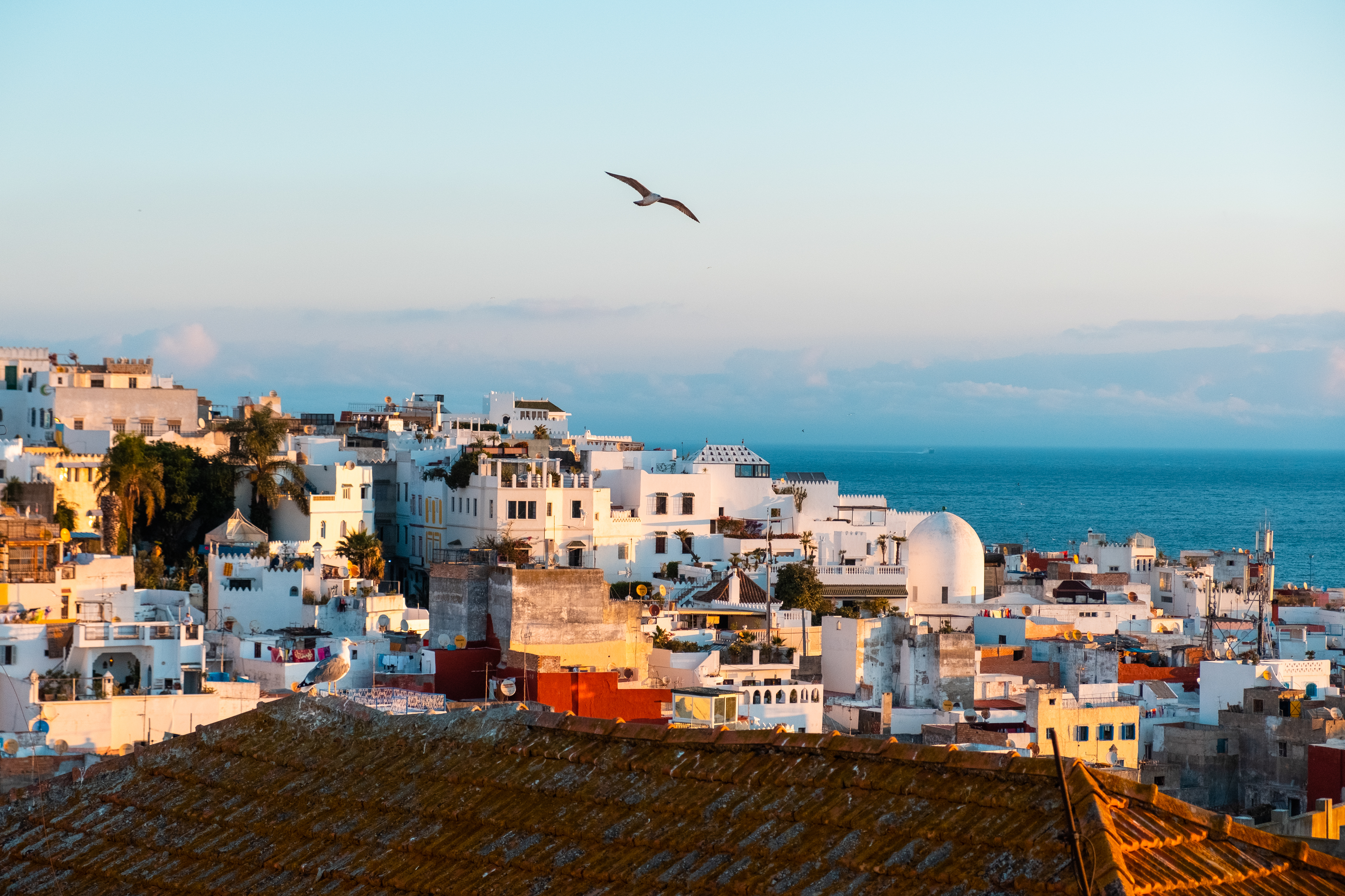 Tangier is often overlooked in favour of Marrakech