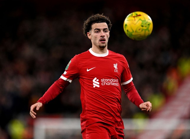 Liverpool v Fulham - Carabao Cup Semi Final First Leg