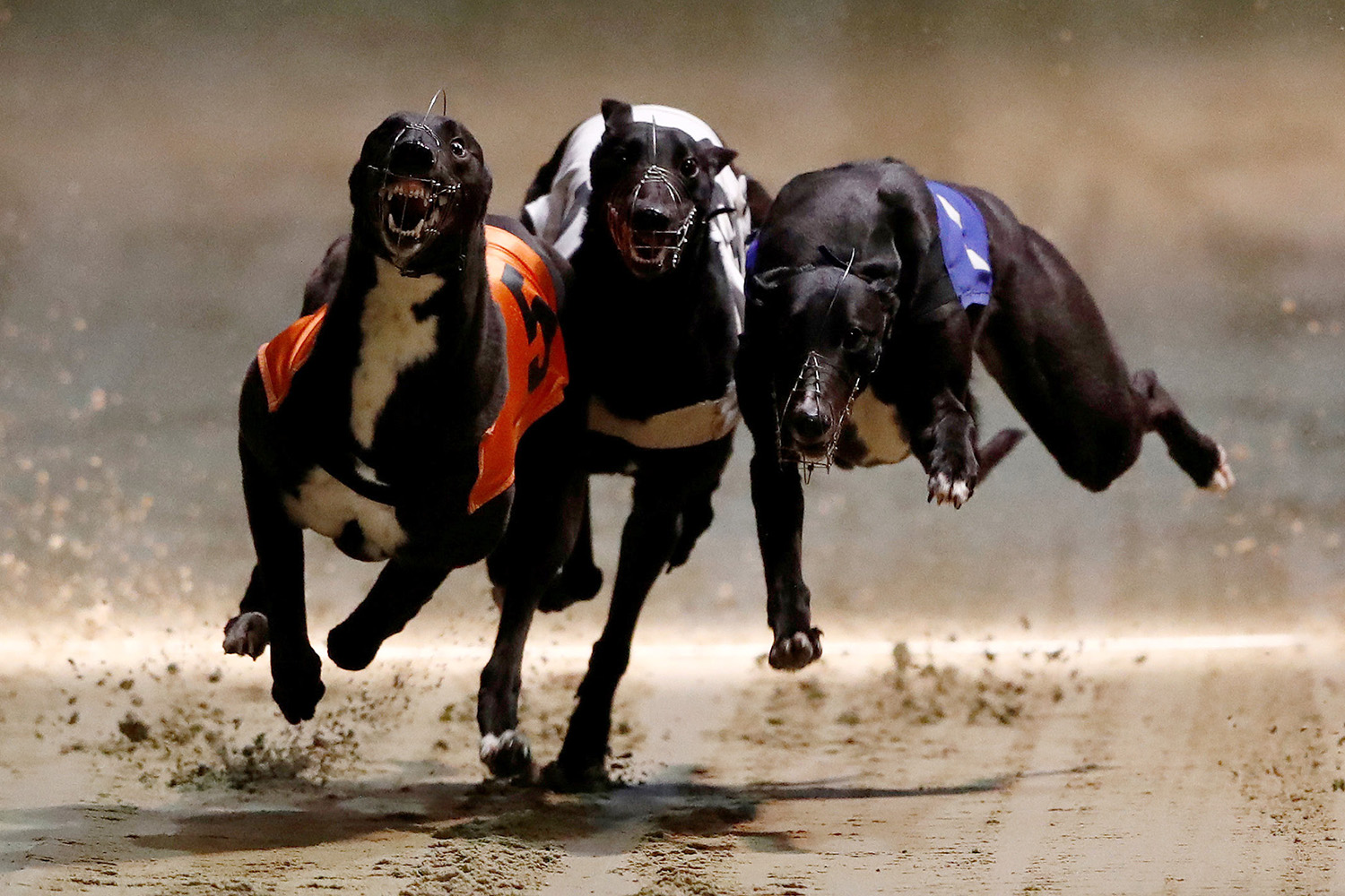 One of the UK's oldest greyhound race tracks has shut its doors after nearly 100 years