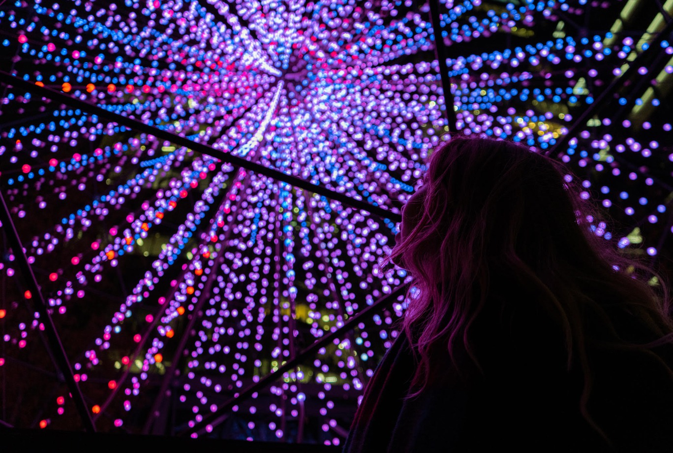 Running from January 25, 2024, to February 25, 2024, the Light Festival is a free event featuring seven installations