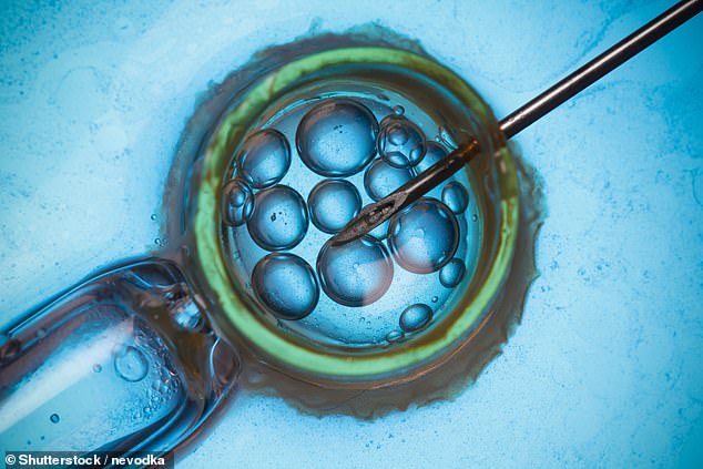 136 women may have lost their chance to become biological parents with an NHS fertility clinic warning their frozen eggs and embryos may not survive the thawing process due to a fault (stock image)