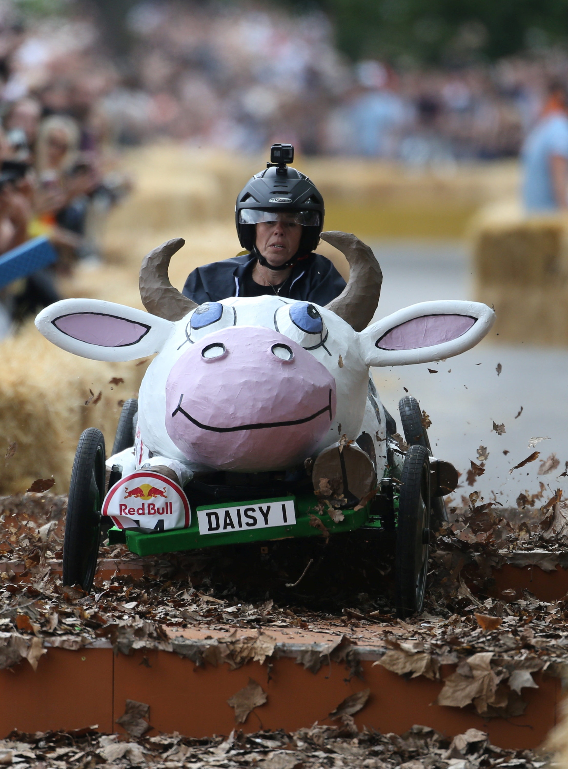 One competitor sped along in a cow called Daisy