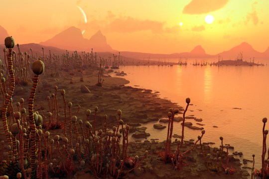 Alien plants on an exoplanet, illustration