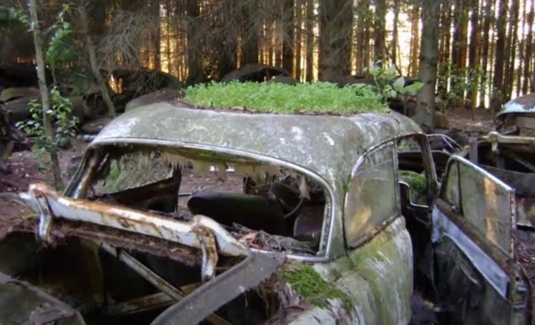 It's thought there were 500 motors dumped in the forest at one time