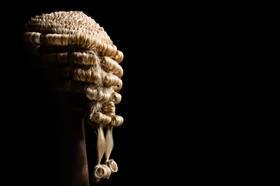 Barrister wig