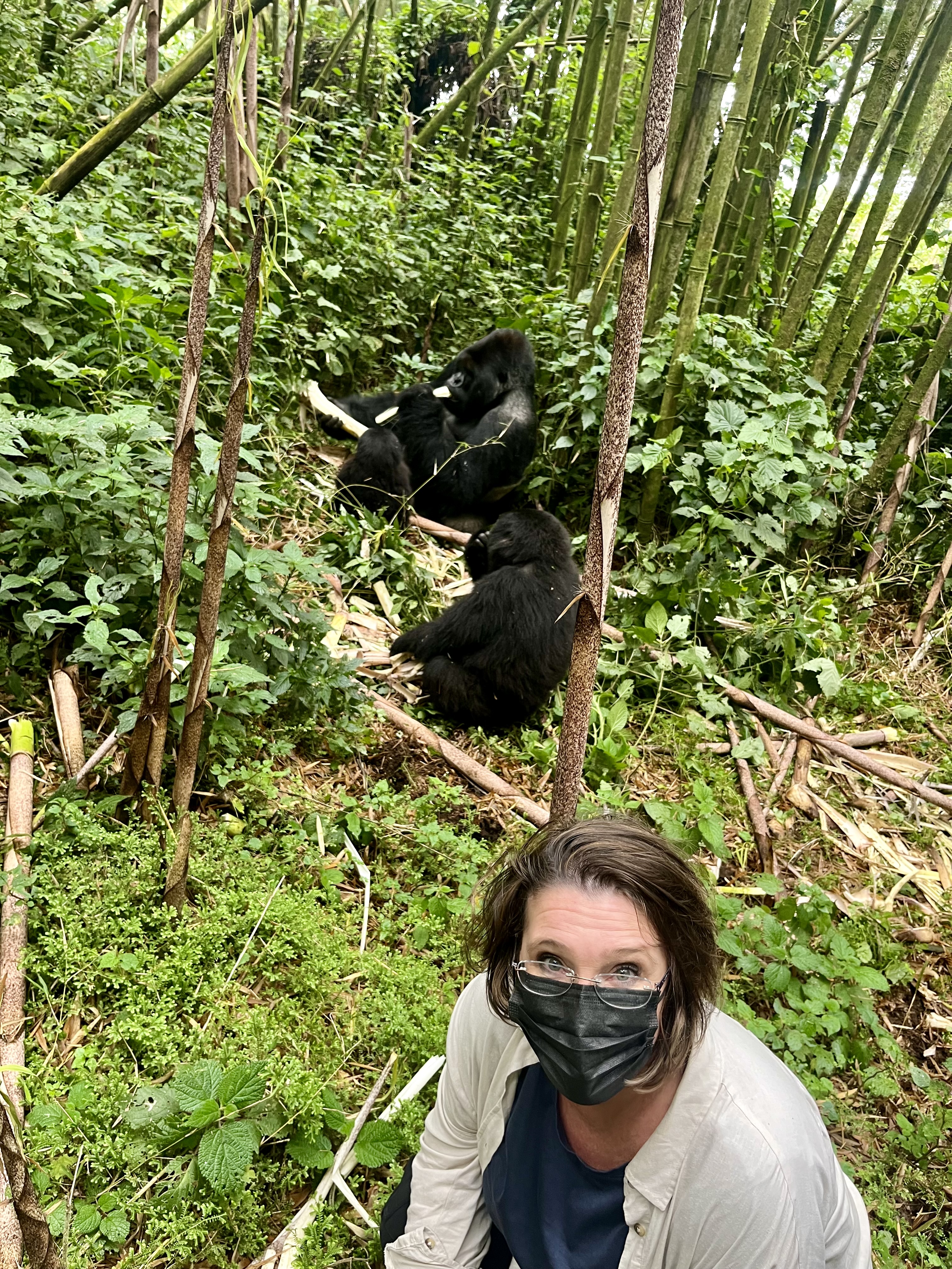 The Sun's Lisa Minot covers up on her safari to protect the gorillas from bugs