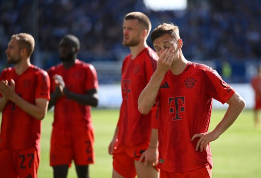 TSG Hoffenheim v FC Bayern München - Bundesliga