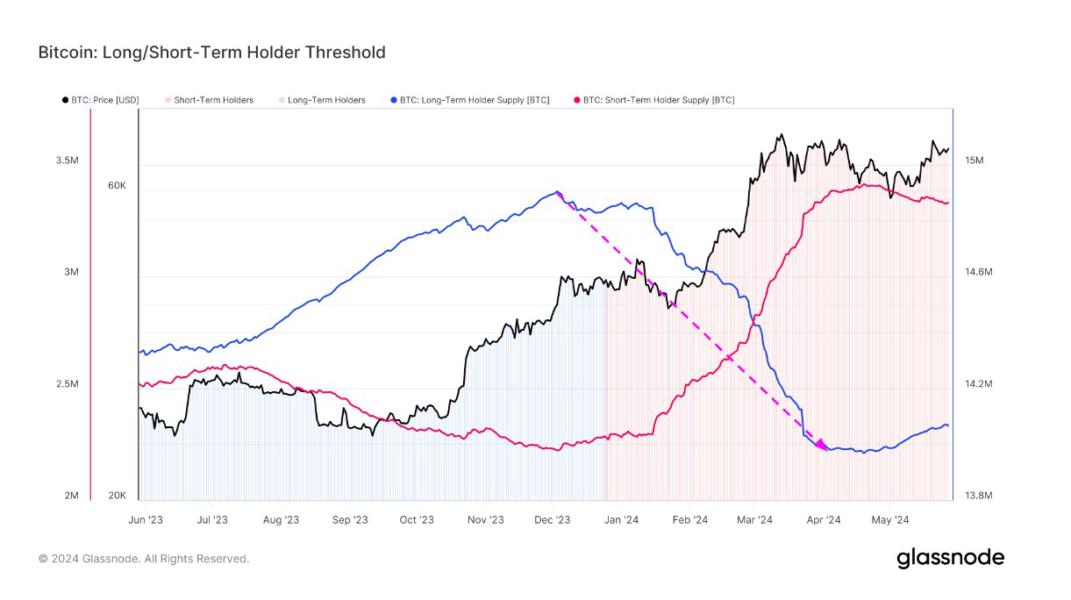 Bitcoin Long-Term Holders