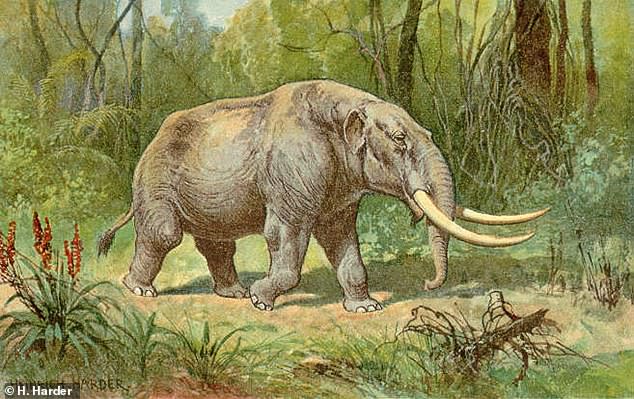 The mastodon lived  5.4 million years ago up until 10,000 years ago when it went extinct. It is a distant relative of the modern-day elephant