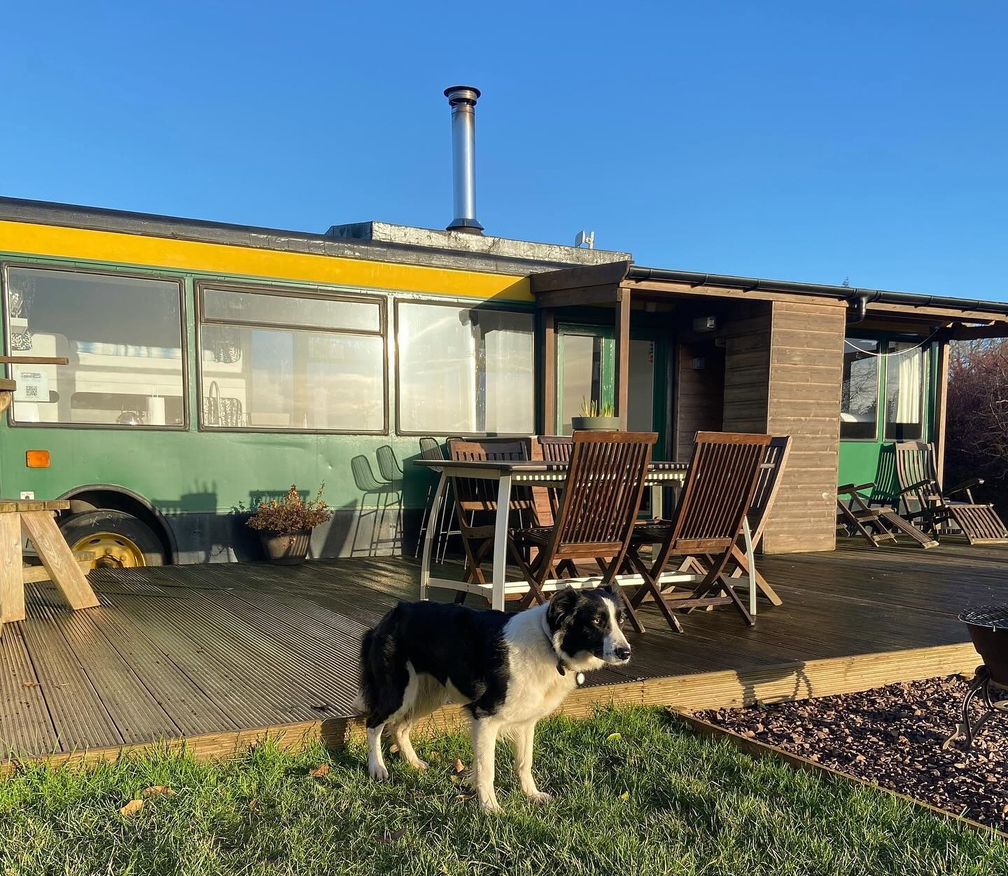 The Bus Stop is a converted double decker bus on a green campsite, and dogs can stay for no extra charge