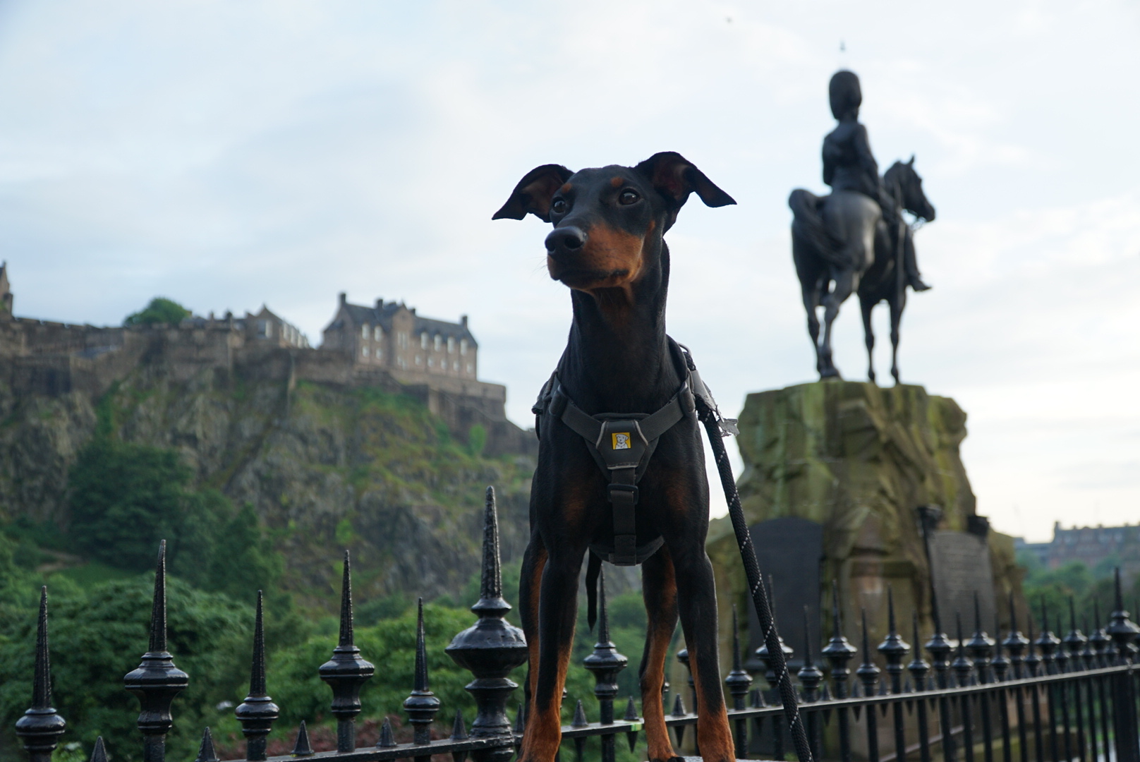 Arty enjoyed his tour of Edinburgh and did some excellent posing next to the castlw