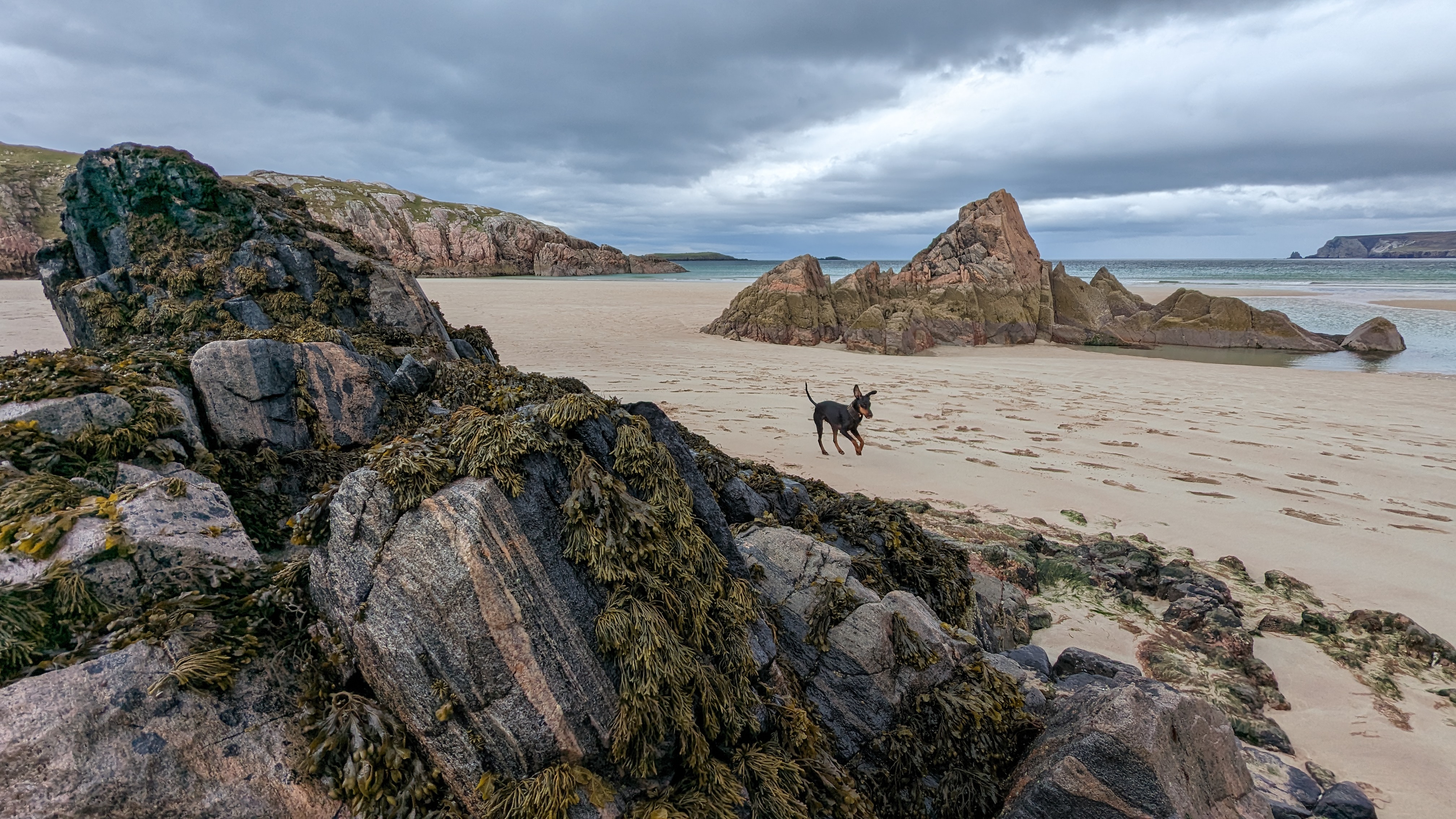 Take a boat trip from Kylesku to Durness, and explore dog friendly beaches like Ceannabeinne Beach