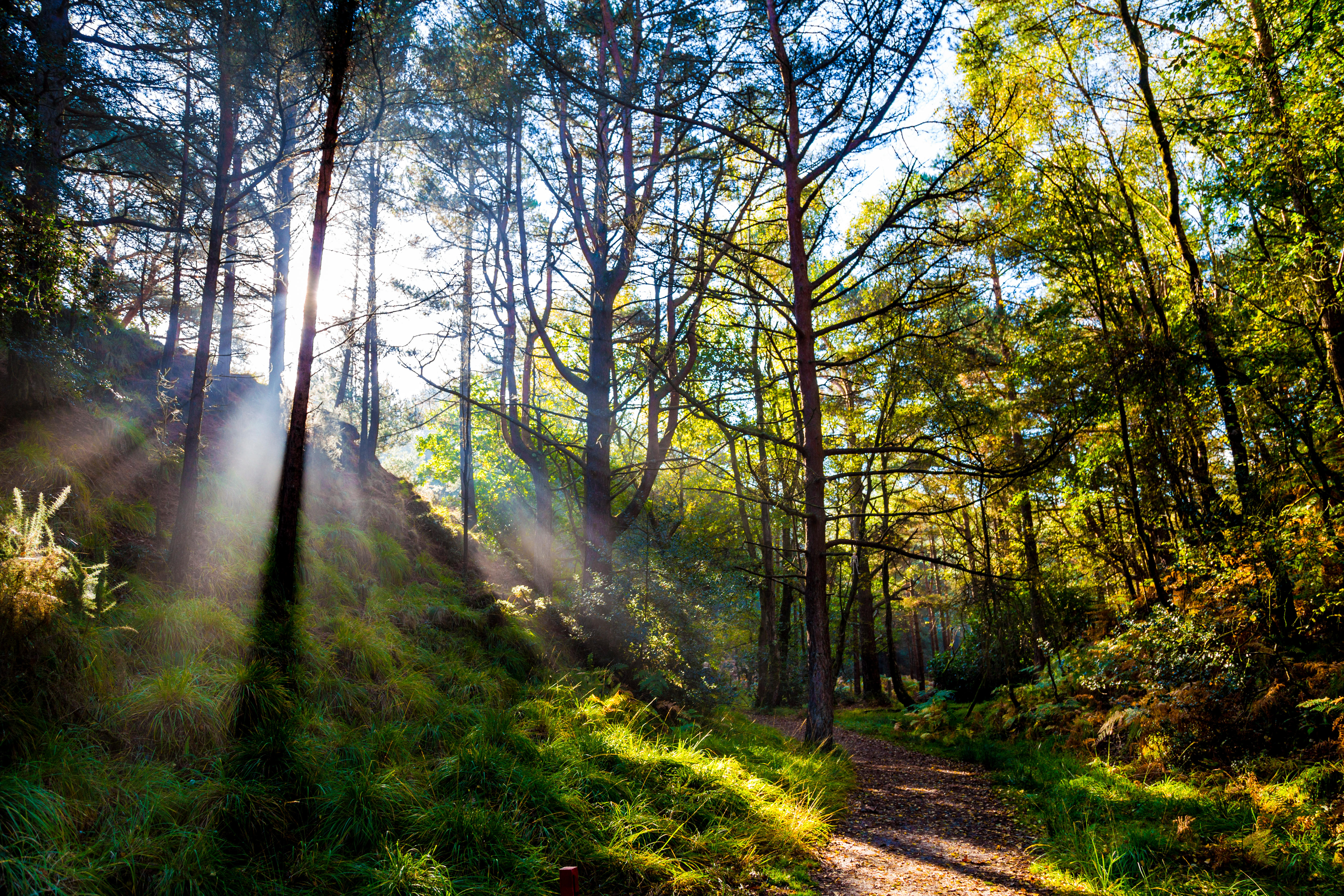 Visitors can spot a diverse wildlife as they take a leisurely stroll around the area