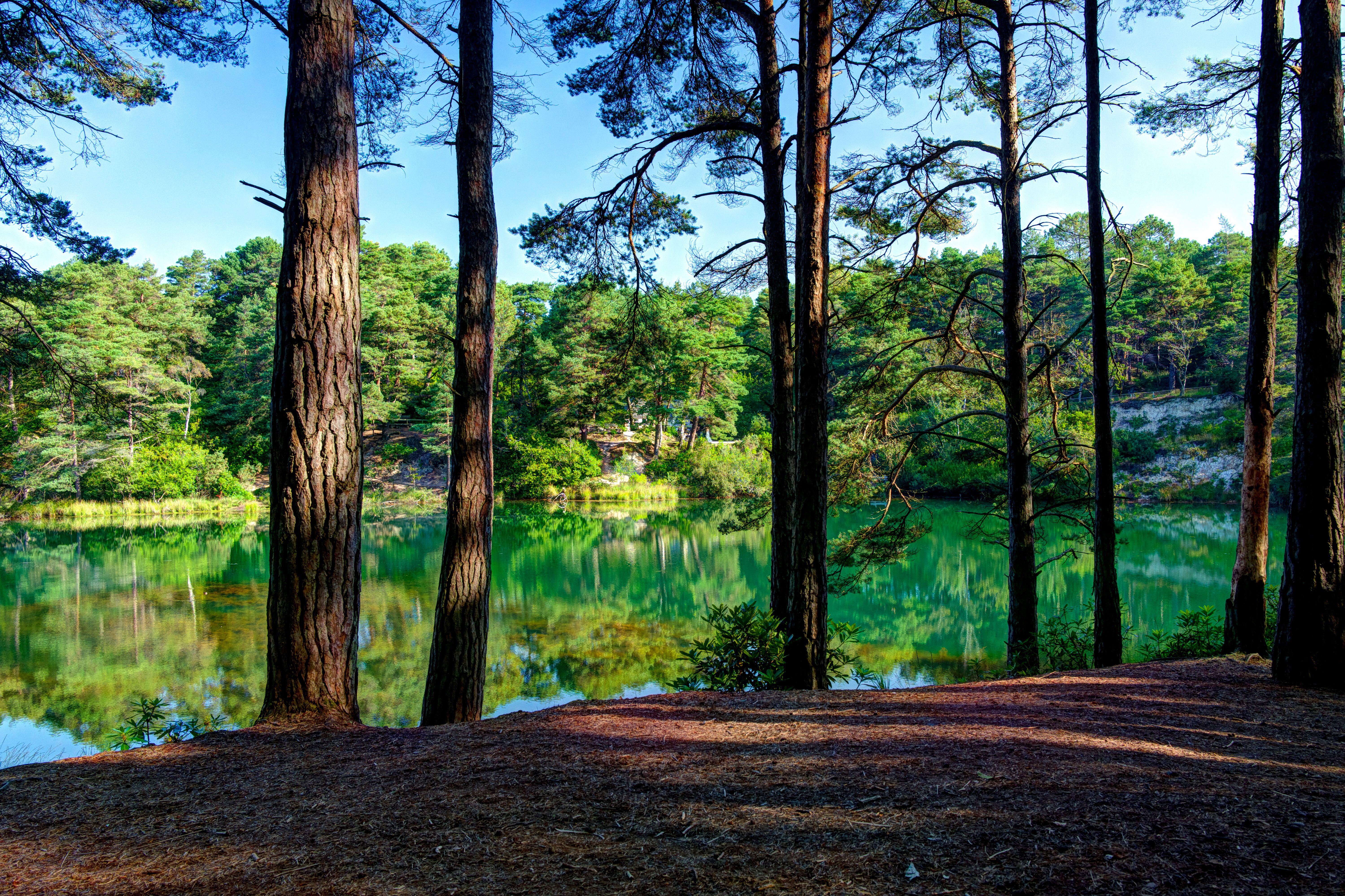 The lake is nestled in lush woods in Fuzebrook estate in Dorset