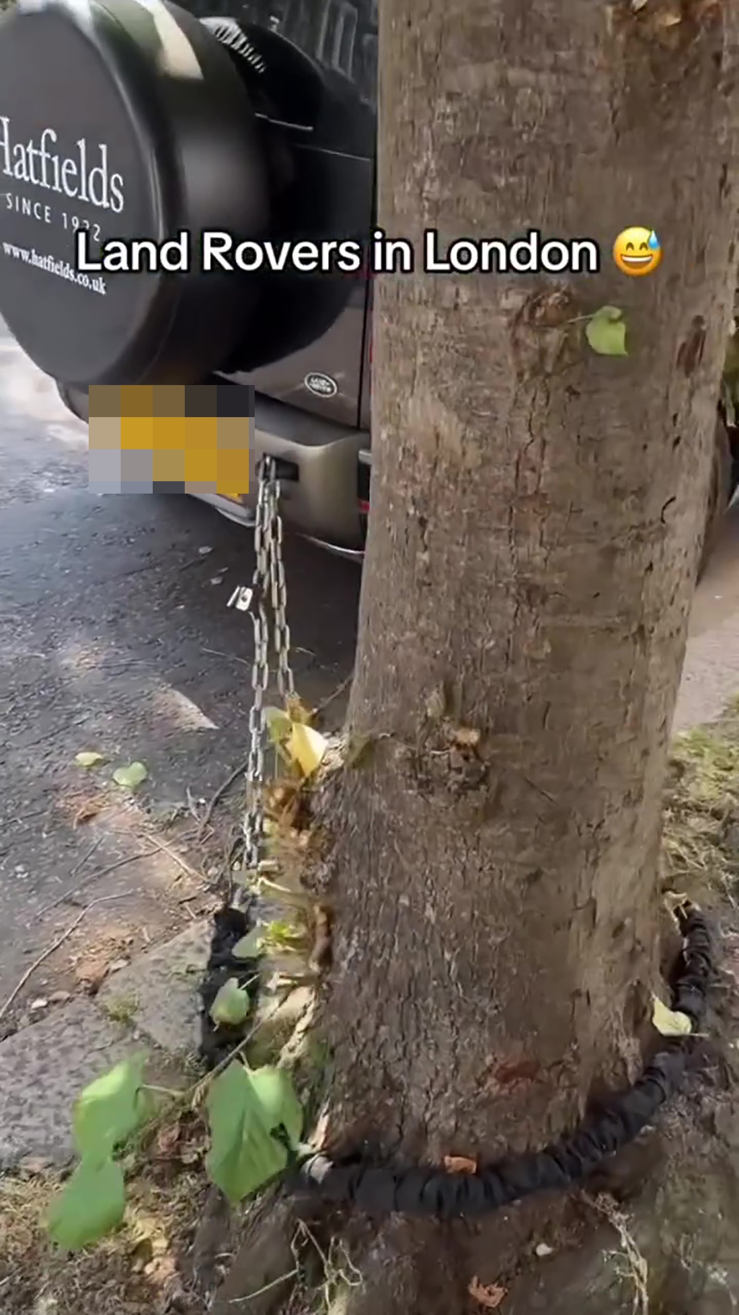 The owner chained their pride and joy to a tree to deter thieves