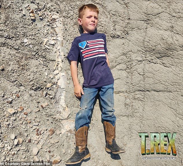 The three boys were walking in the Hell Creek formation when they noticed what appeared to be a large white fossilised bone in the ground. In this picture, Liam Fisher lies down next to an exposed portion of the fossil