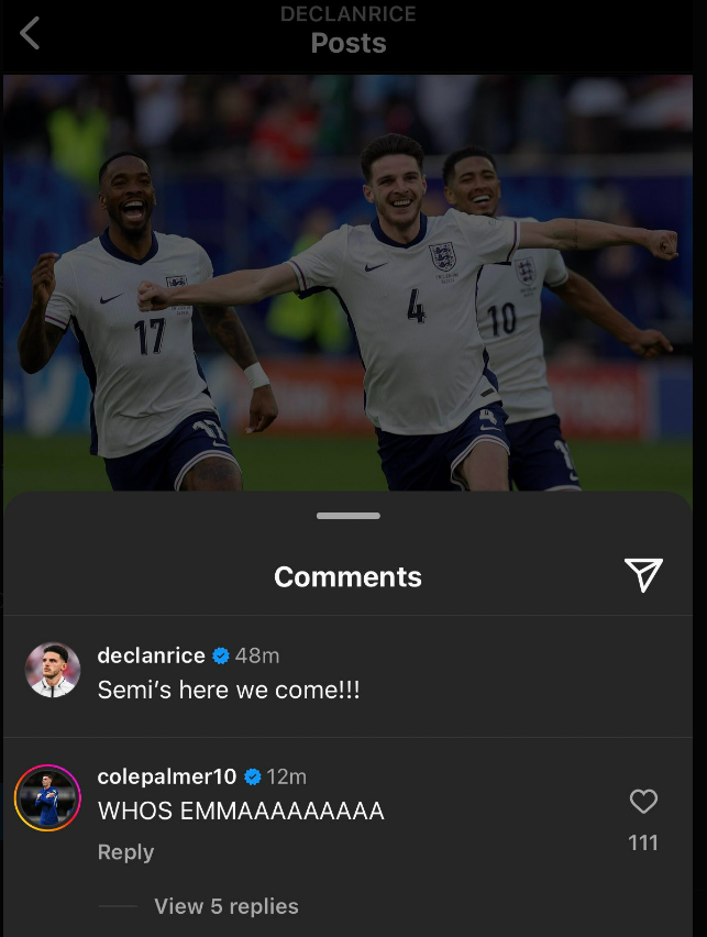 Palmer hijacked Rice's post with a Love Island reference