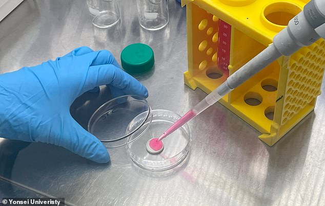 Lab-grown meat takes a cell sample from a living animal that is then grown or 'cultivated' in the lab to create a fleshy mass - using fewer resources and less space