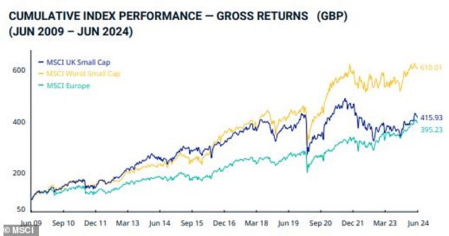 UK small caps have struggled - but European peers lack world index too