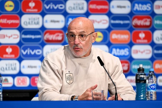 Spain manager Luis de la Fuente