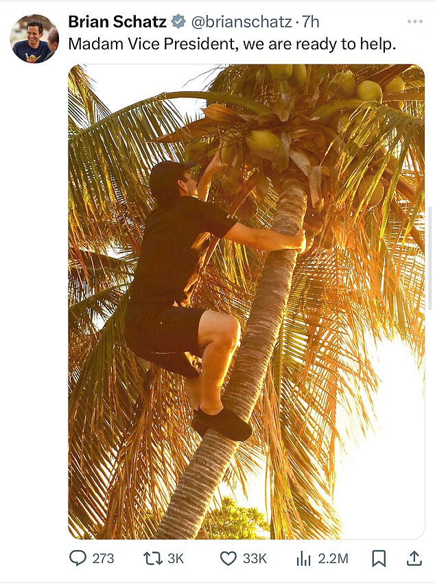 Hawaii senator Brian Schatz posted a picture of himself climbing a coconut tree, a reference to Ms Harris's infamous anecdote about something she claimed her mother used to say