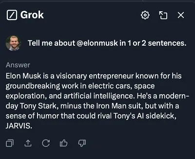 Grok profile summary example