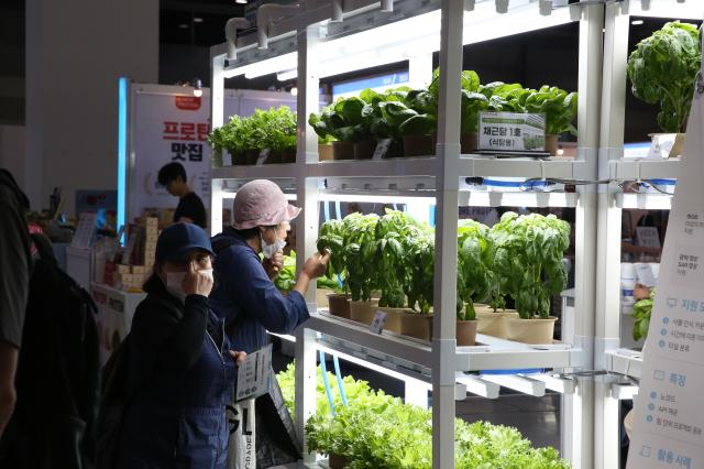 A visitor smells the aroma of basil on display at the Agri  Food Tech Start-up Rising Expo 2024 AFRO 2024 held at COEX in Seoul on July 25 2024 AJU PRESS Han Jun-gu