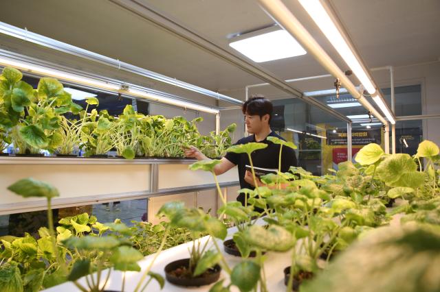 An official checks their products at the Agri  Food Tech Start-up Rising Expo 2024 AFRO 2024 held at COEX in Seoul on July 25 2024 AJU PRESS Han Jun-gu 
