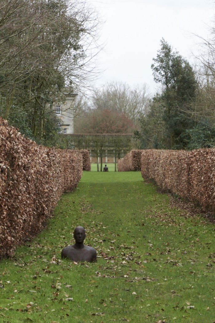 A garden pathway with hedges and trees either side. There are statues of two people. Just their head and chest is visible