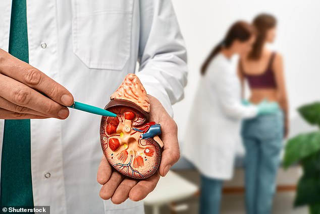 NHS figures released today show 6,250 people are waiting for a kidney — 10 per cent more than a year ago (stock image)