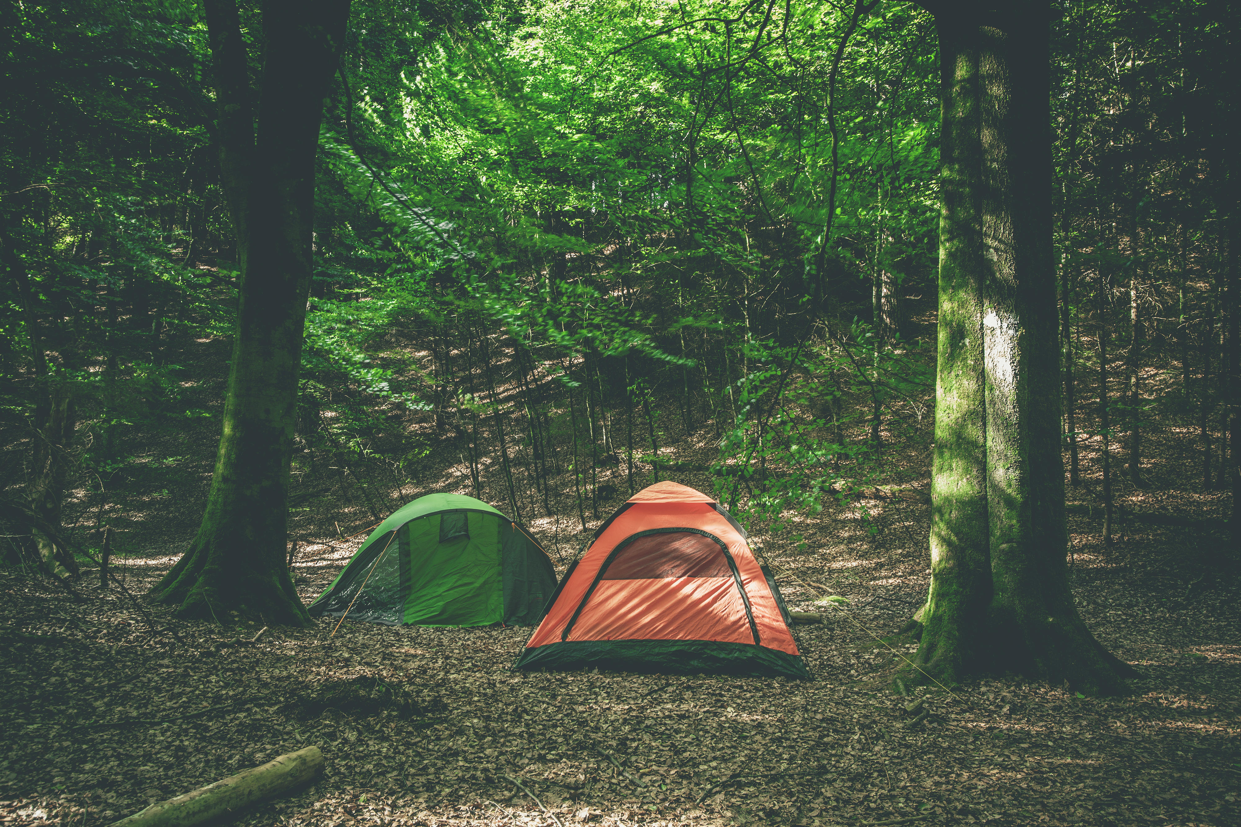 Travel experts have revealed the one camping mistake that will make everyone else around hate you