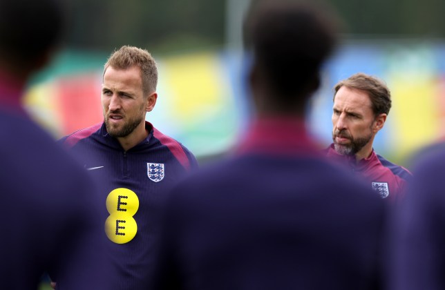 England captain Harry Kane and Three Lions boss Gareth Southgate