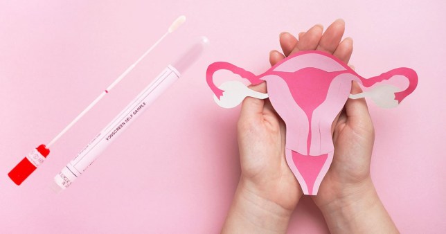 Composite image of pink background showing cervix diagram and self-test swab