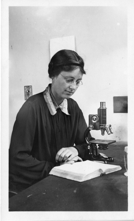 British botanist Kathleen Mary Drew-Baker (1901-1957), born in Leigh, Lancashire, is best known for her research on the edible seaweed Porphyra laciniata (nori). Her analysis of the nori lifecycle provided assistance to Japanese farmers suffering from unpredictable harvests, saving the Japanese seaweed industry. Building on her work, Japanese scientists developed artificial seeding techniques which increased production. Drew-Baker spent most of her academic life at the University of Manchester's cryptogamic botany department, serving as a Lecturer in Botany, then Researcher from 1922 to 1957. She also spent two years working at the University of California. She was one of the founders of the British Phycological Society and served as its first president.