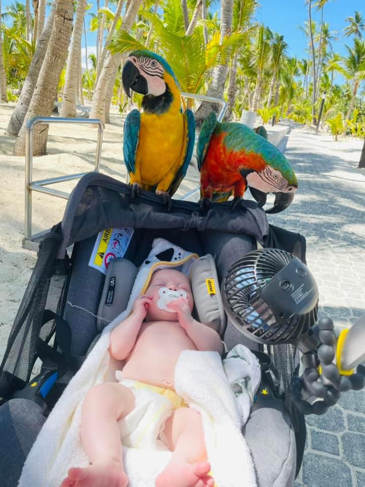 The tot has travelled to the Dominican Republic, her first flight at just seven weeks old