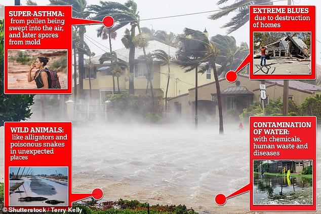 The above graphic highlights additional health risks from hurricanes, according to experts. They include mental health problems from the damage, asthma because pollen has been swept up, encounters with dangerous wild animals that have been displaced and water contamination leaving it posing a serious health risk