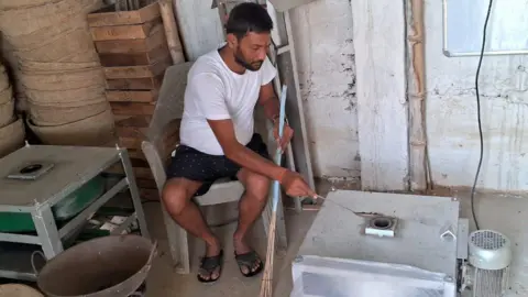 Madhubani Makhana A man feeds fox nuts into a box-like machine where they are popped