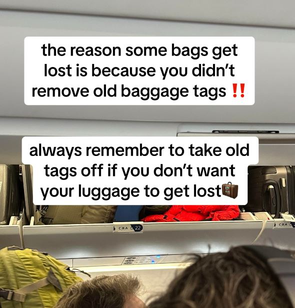 Ex-Delta Airlines hostess Elizabeth shared her tips for keeping track of your luggage online