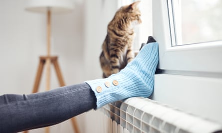 Woman’s feet with woolen socks, domestic cat, enjoying inside home on the radiator.