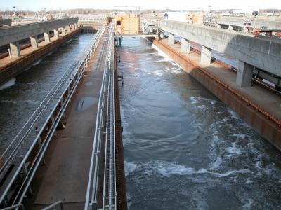 Antidepressants flowing from Montreal sewage treatment plant found to affect trout