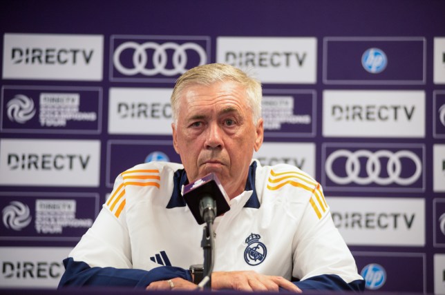 Real Madrid manager Carlo Ancelotti addresses the media in July 2024