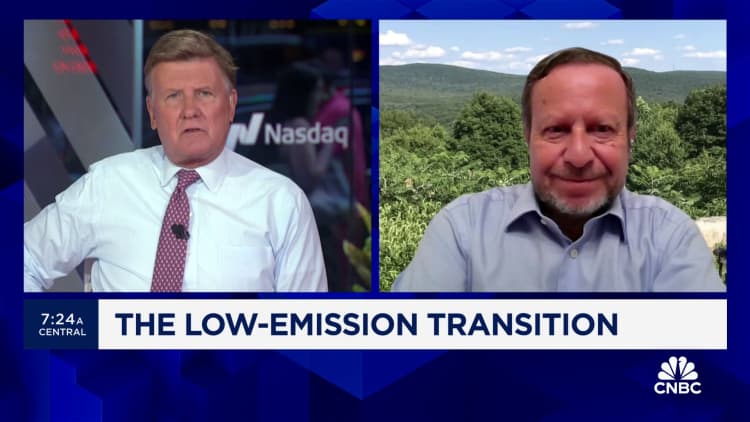 The low-emission energy transition: Are climate goals attainable?