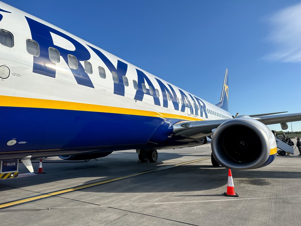 The boss of Ryanair has called for a two-drink limit for passengers at airports to prevent violent behaviour on flights