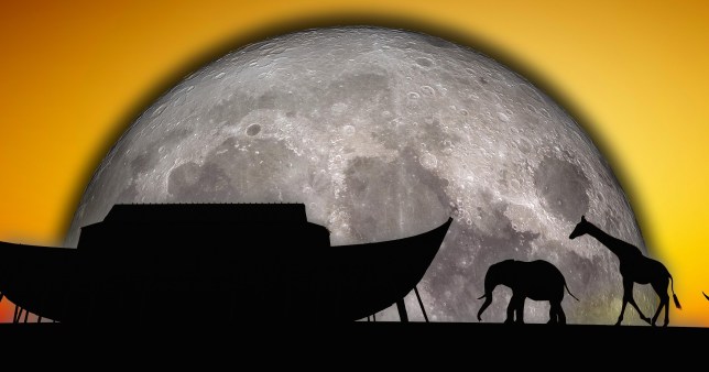 noah's ark on the moon