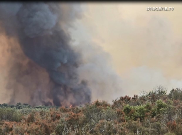 Flames chew up brush as the Tenaja fire burns near...