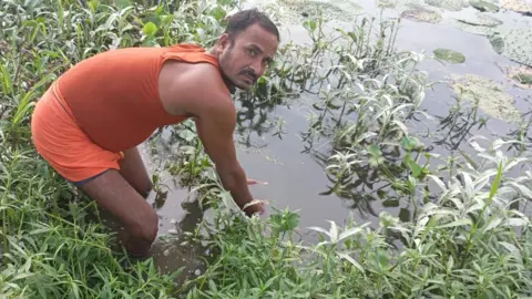 Phool dev Shahni Phool dev Shahni knee deep and reaching into a pond