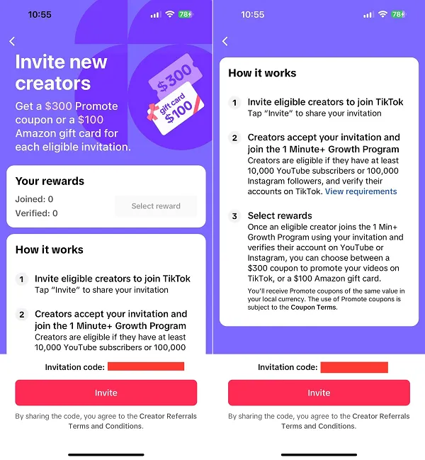 TikTok incentive program